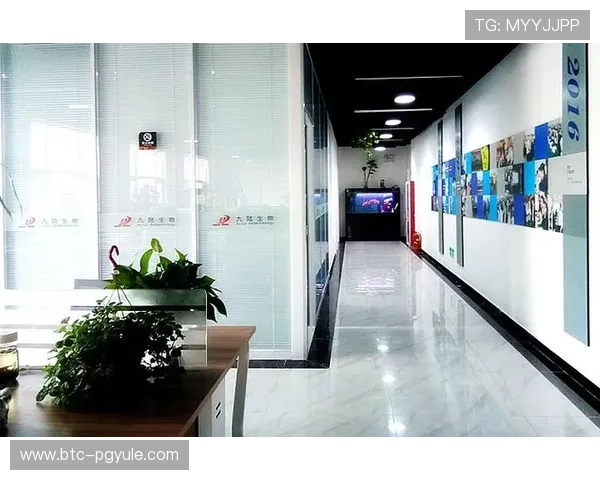 凯发旗舰厅全站登录安全保障全面升级，提供稳定可靠的线上娱乐体验